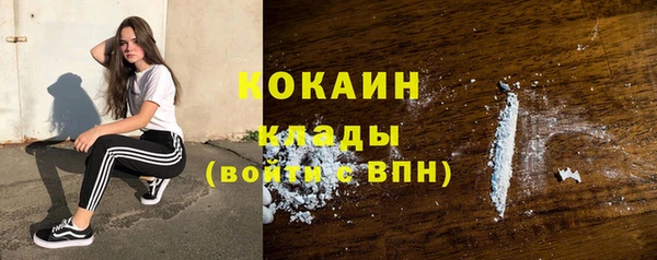 винт Абаза